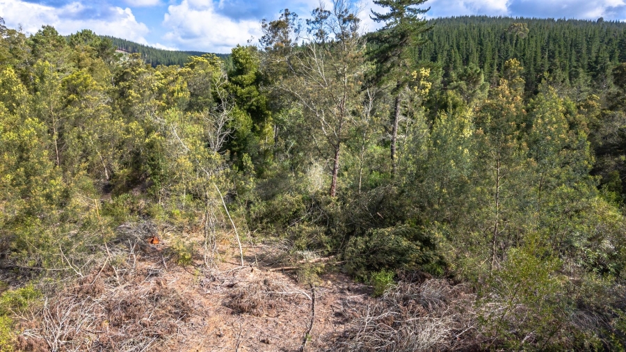 Commercial Property for Sale in Sedgefield Rural Western Cape